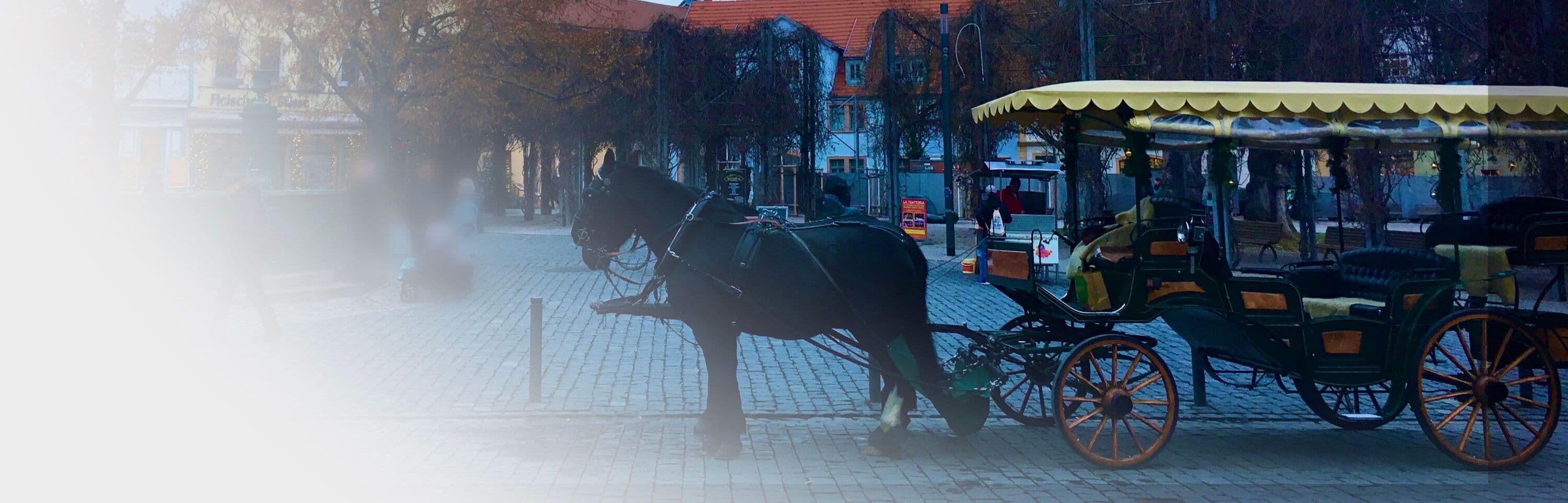 ワイマールの馬車